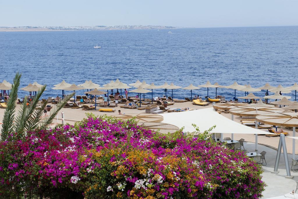 Amphoras Blu Sharm el-Sheikh Bagian luar foto
