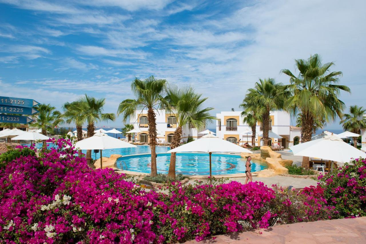 Amphoras Blu Sharm el-Sheikh Bagian luar foto